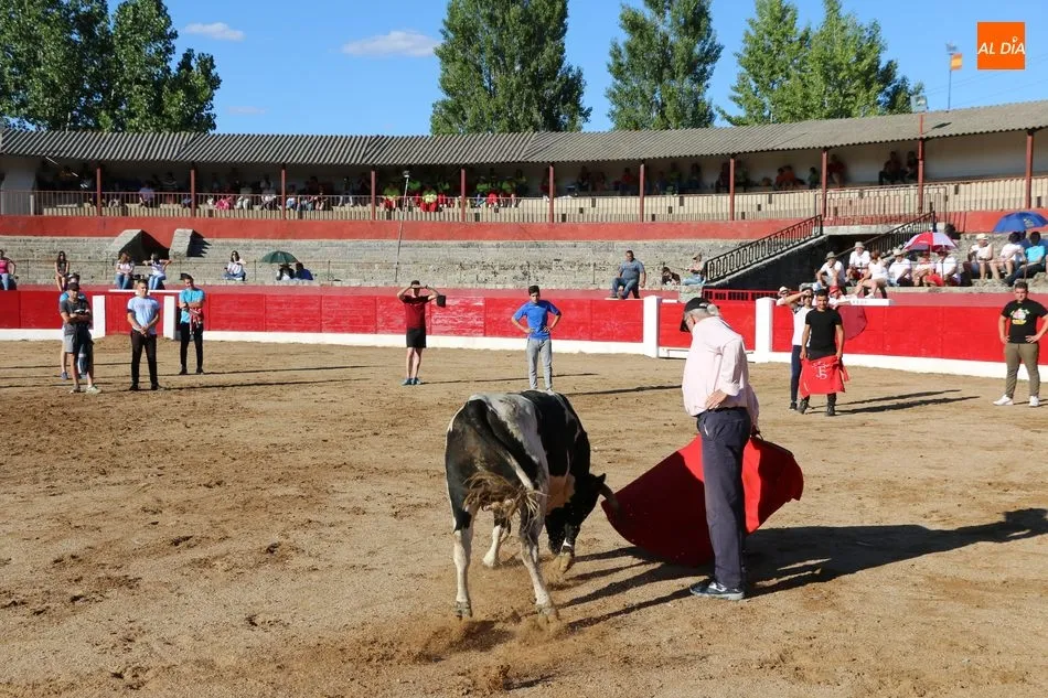 Foto 6 - Buen juego de los novillos a concurso en la capea de Viernes de Corpus en Vitigudino  