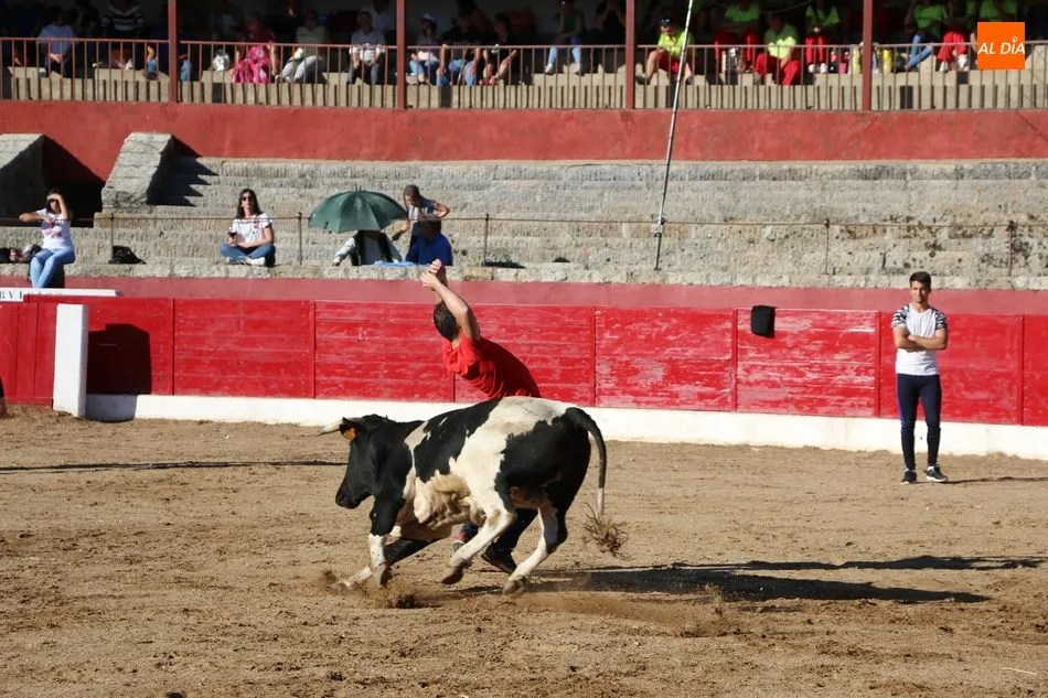 Foto 5 - Buen juego de los novillos a concurso en la capea de Viernes de Corpus en Vitigudino  