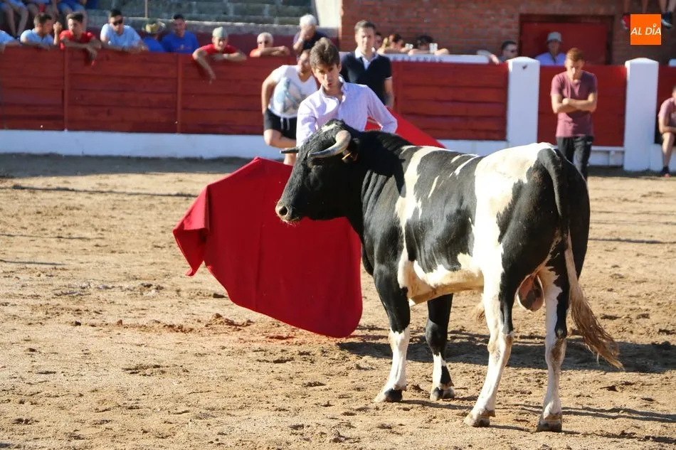 Foto 4 - Buen juego de los novillos a concurso en la capea de Viernes de Corpus en Vitigudino  