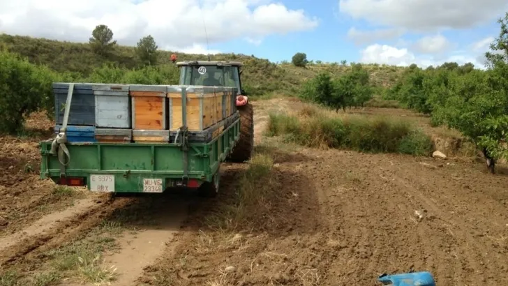 El Gobierno autoriza el inicio del procedimiento para la financiación de proyectos de...