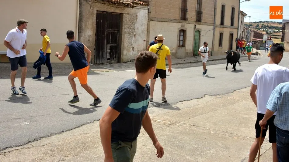 Foto 11 - Los encierros de novillos animan el primer d&iacute;a de las fiestas de Hinojosa de Duero