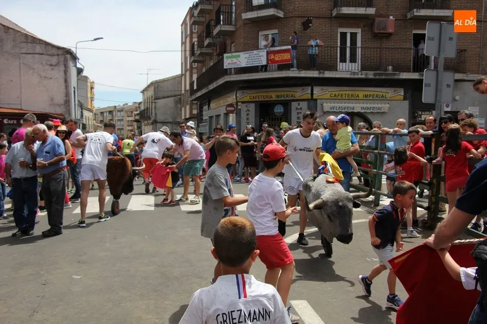 Foto 5 - Los carretones de Carlos Huertos llenan de emoci&oacute;n las calles de Vitigudino  