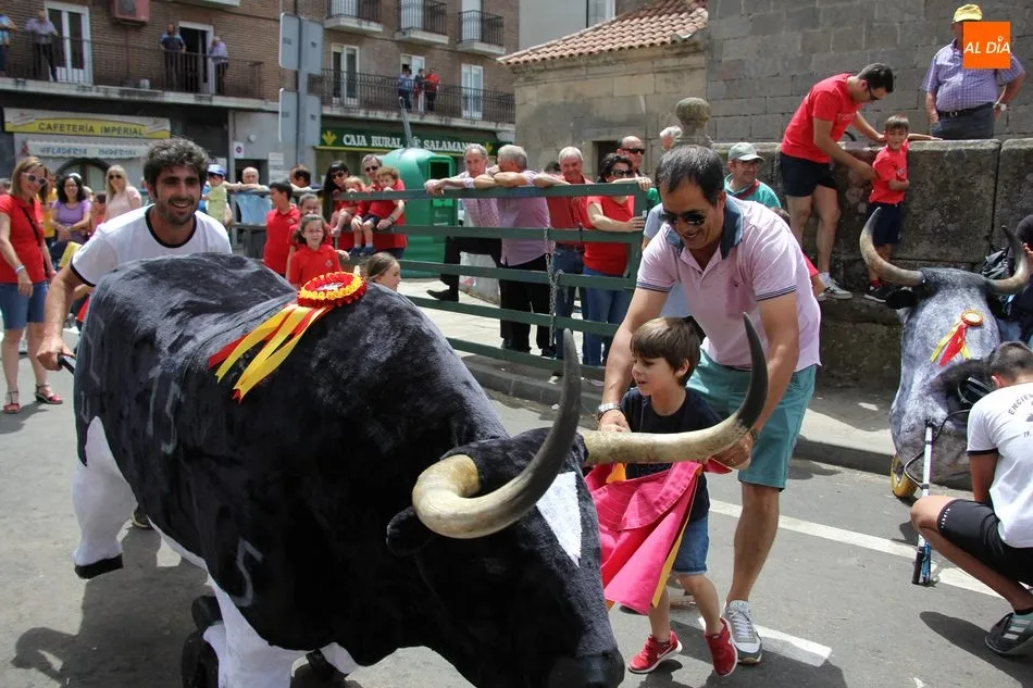 Foto 3 - Los carretones de Carlos Huertos llenan de emoci&oacute;n las calles de Vitigudino  