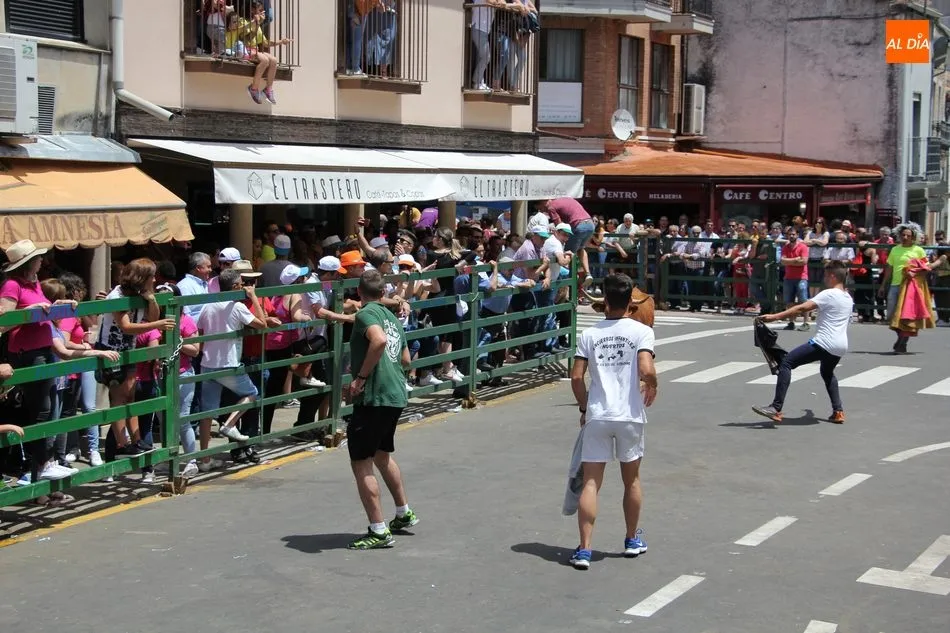 Foto 6 - Multitudinario encierro de S&aacute;bado de Corpus en Vitigudino  