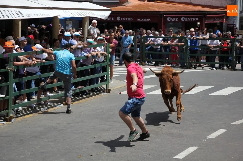 Multitudinario encierro de Sábado de Corpus en Vitigudino  