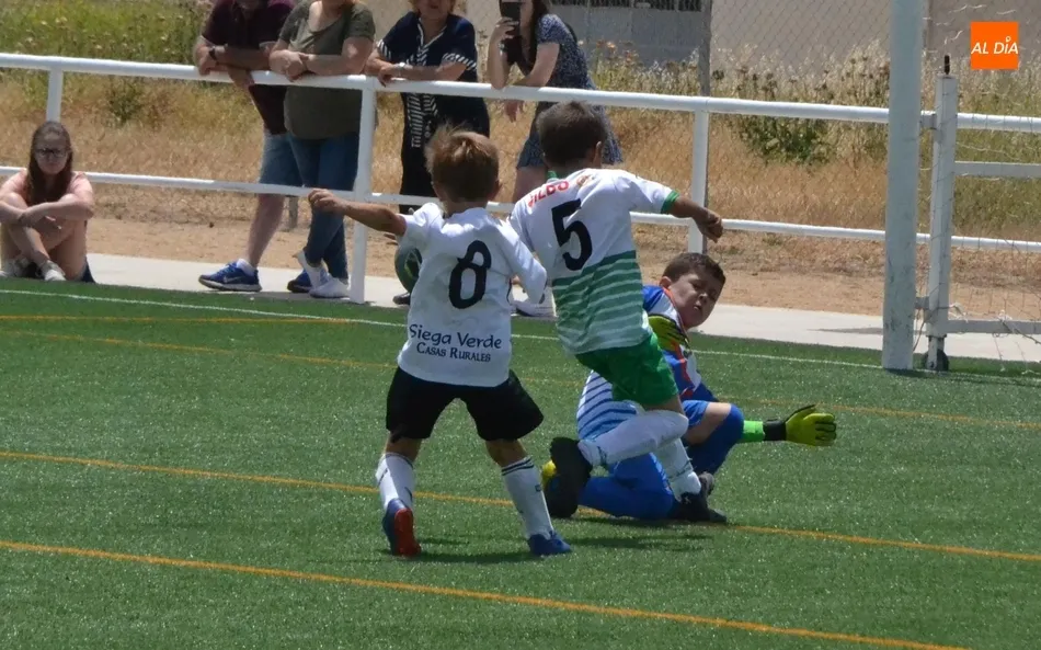 Foto 5 - Un total de 15 equipos toman parte en la ventosa 3&ordf; edici&oacute;n del Torneo en memoria de To&ntilde;ete  