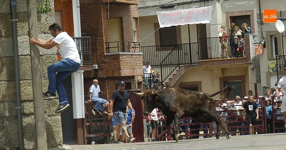 Una de las vaquillas en su tránsito por las calles de El Payo/Fotos: Adrián M.Pastor