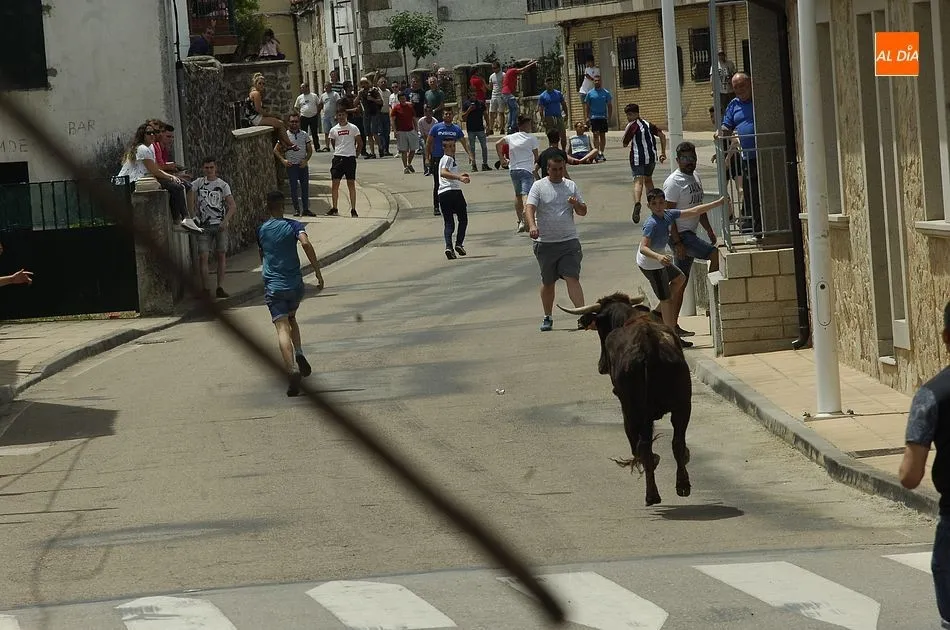 Foto 3 - Buen ambiente callejero en la cita matinal con las vaquillas en El Payo  