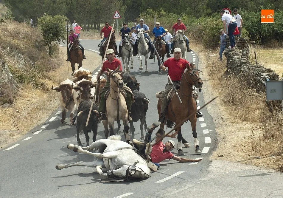 Momento de la caída del jinete en plena carretera | Fotos Adrián Martín