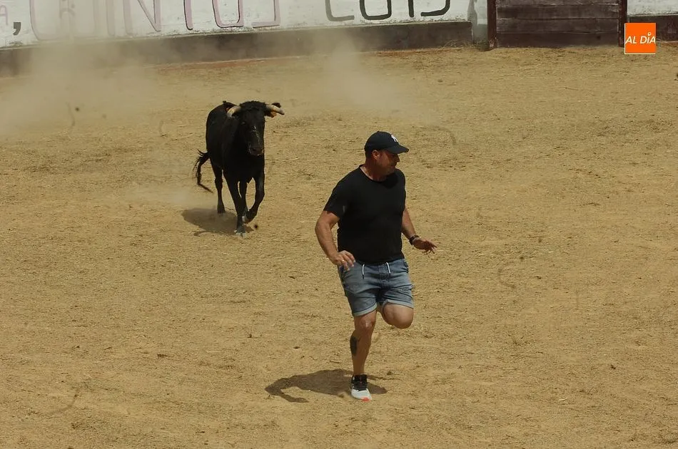 Foto 4 - Un caballista sufre una aparatosa ca&iacute;da en pleno encierro de Robleda  