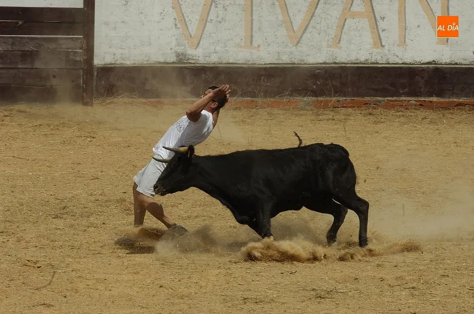 Foto 5 - Un caballista sufre una aparatosa ca&iacute;da en pleno encierro de Robleda  