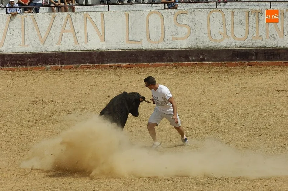 Foto 8 - Un caballista sufre una aparatosa ca&iacute;da en pleno encierro de Robleda  