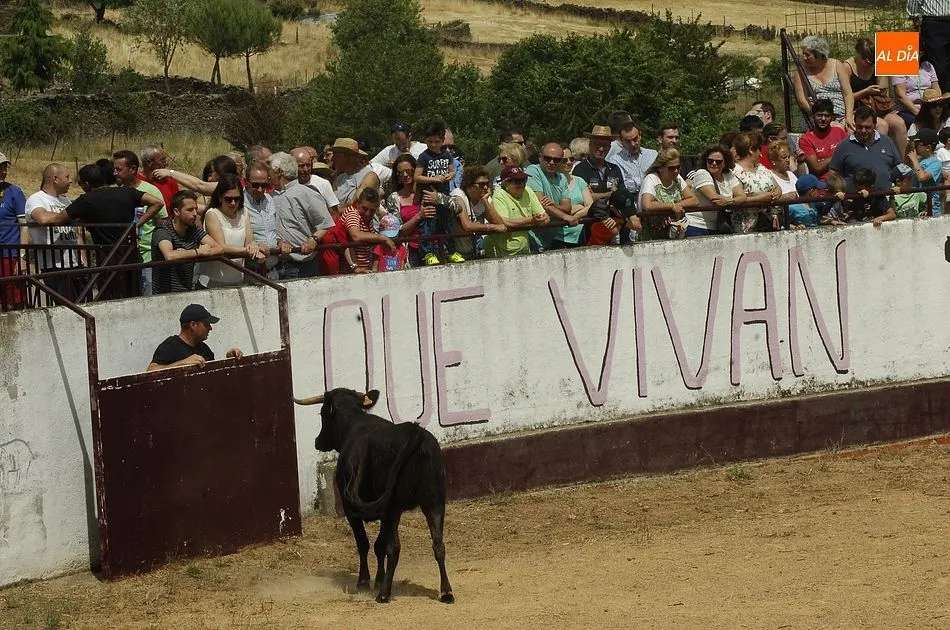 Foto 7 - Un caballista sufre una aparatosa ca&iacute;da en pleno encierro de Robleda  
