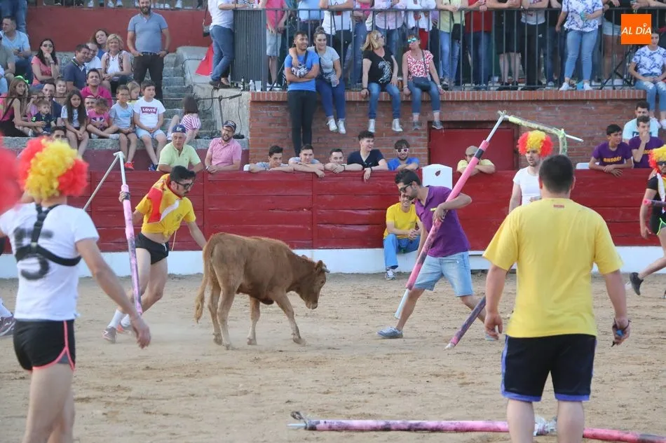 Foto 11 - Buen ganado de Eduardo Mart&iacute;n Cilleros en la capea del S&aacute;bado de Corpus en Vitigudino  