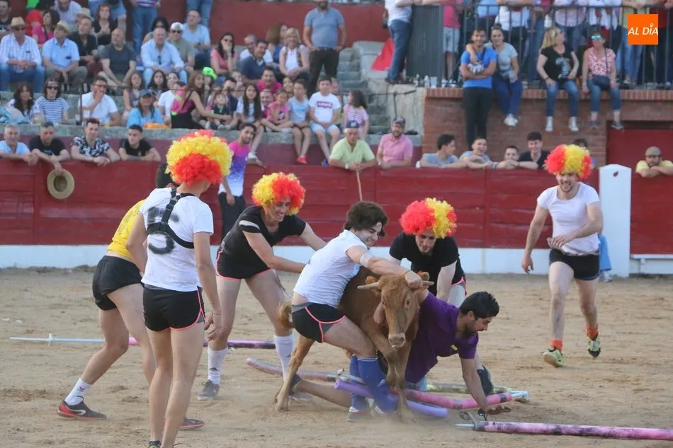 Foto 10 - Buen ganado de Eduardo Mart&iacute;n Cilleros en la capea del S&aacute;bado de Corpus en Vitigudino  