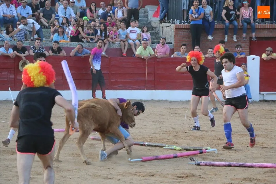 Foto 8 - Buen ganado de Eduardo Mart&iacute;n Cilleros en la capea del S&aacute;bado de Corpus en Vitigudino  