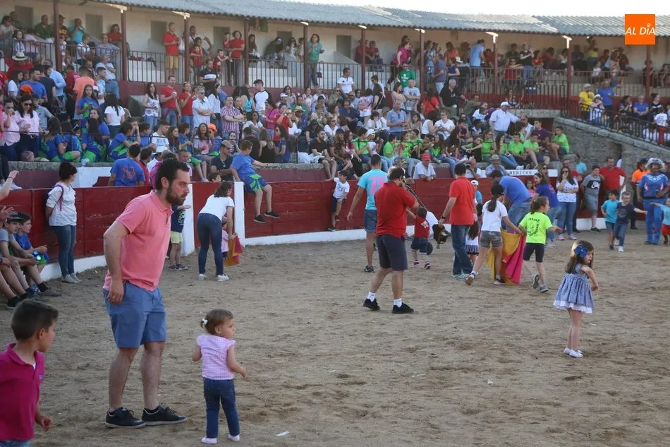 Foto 3 - Buen ganado de Eduardo Mart&iacute;n Cilleros en la capea del S&aacute;bado de Corpus en Vitigudino  