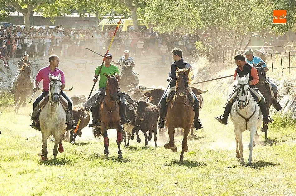 El encierro en pleno cauce del río Gavilanes | Fotos Adrián Martín