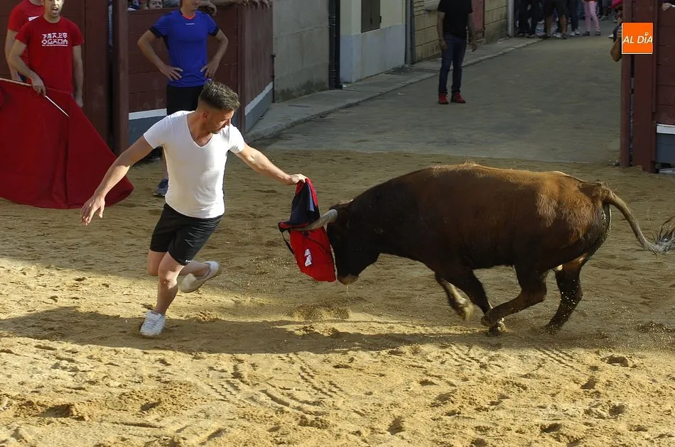 Los novillos brindan un buen juego en su estancia en las calles de La Fuente  