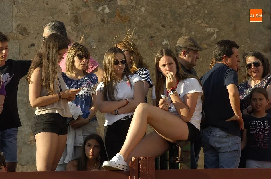 Foto 6 - Los novillos brindan un buen juego en su estancia en las calles de La Fuente  