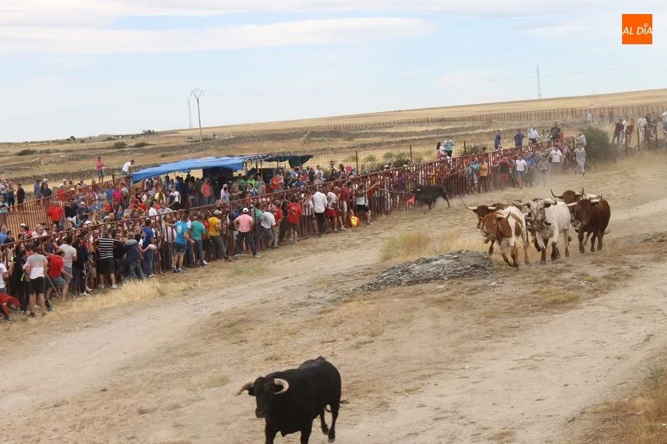 Foto 10 - Multitudinarios y emocionantes espantos en Ledesma
