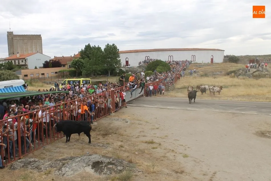 Foto 9 - Multitudinarios y emocionantes espantos en Ledesma