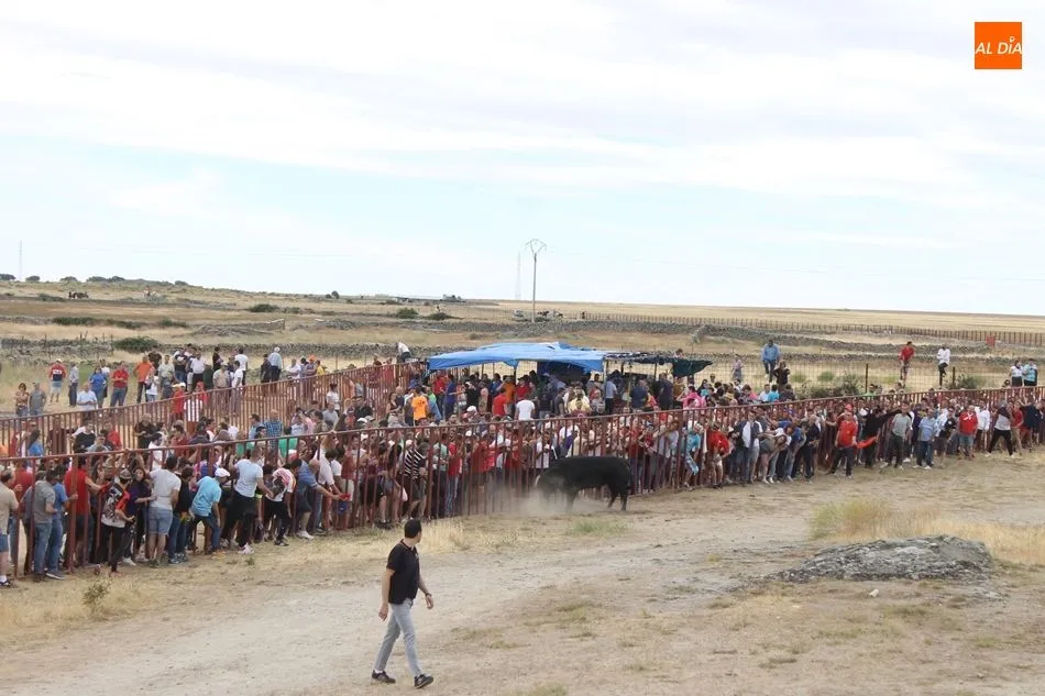 Foto 7 - Multitudinarios y emocionantes espantos en Ledesma