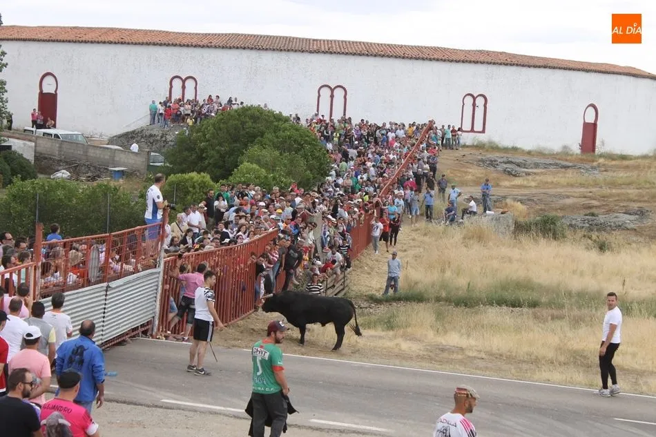 Foto 5 - Multitudinarios y emocionantes espantos en Ledesma