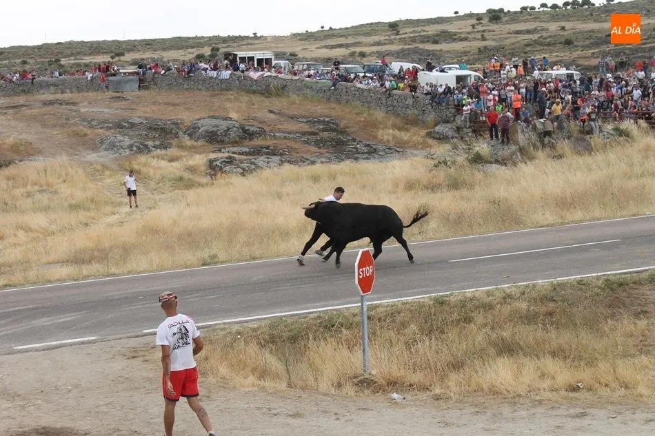 Foto 4 - Multitudinarios y emocionantes espantos en Ledesma