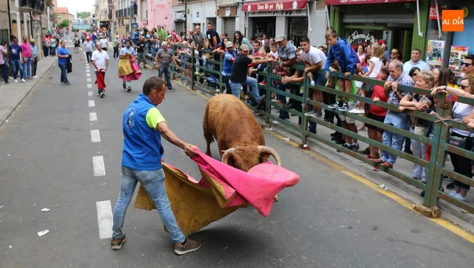 Encierro Domingo de Corpus en Vitigudino