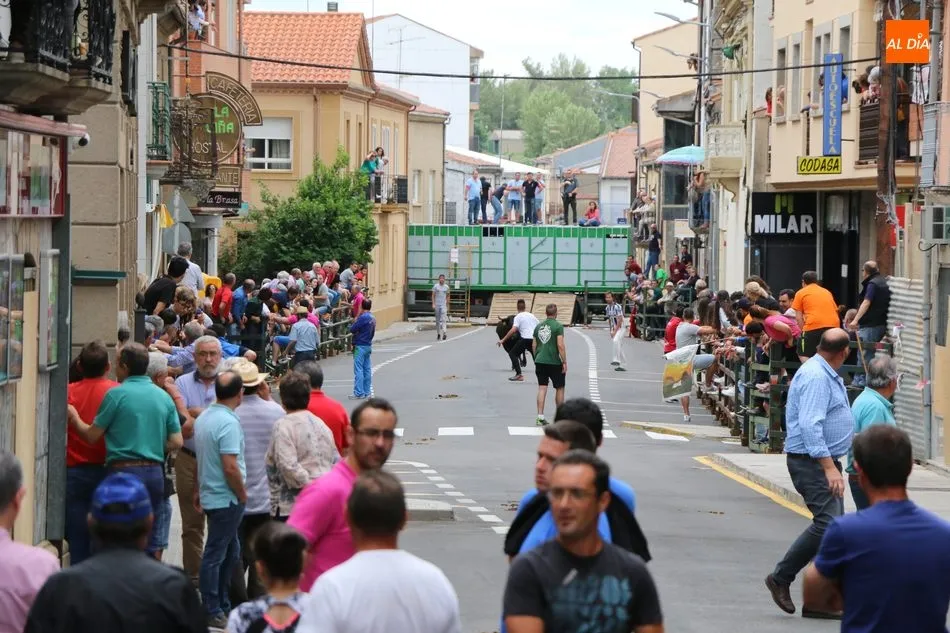 Foto 11 - La Asociaci&oacute;n Taurina de Vitigudino &lsquo;echa el resto&rsquo; en el &uacute;ltimo encierro tradicional del...