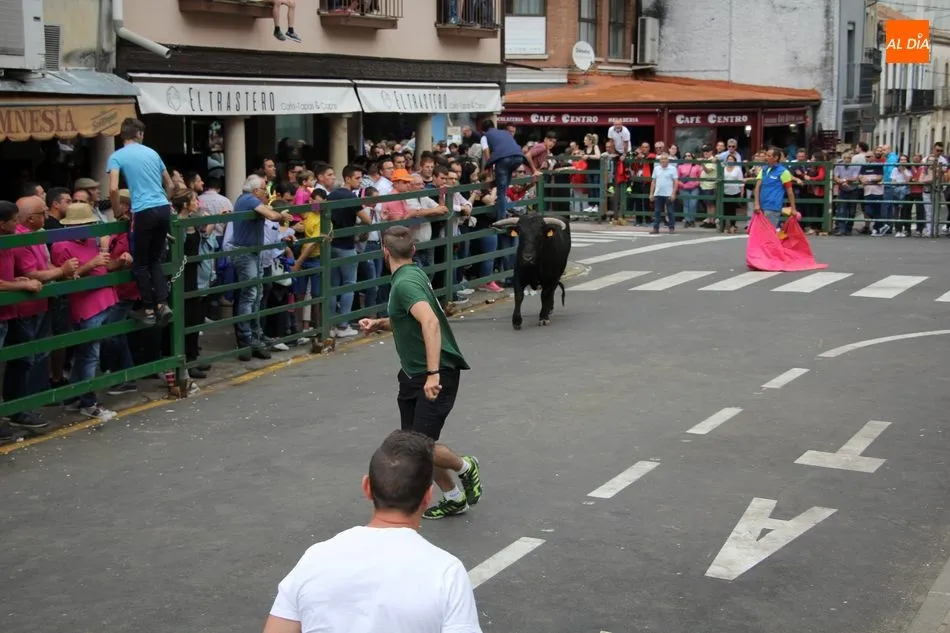 Foto 10 - La Asociaci&oacute;n Taurina de Vitigudino &lsquo;echa el resto&rsquo; en el &uacute;ltimo encierro tradicional del...