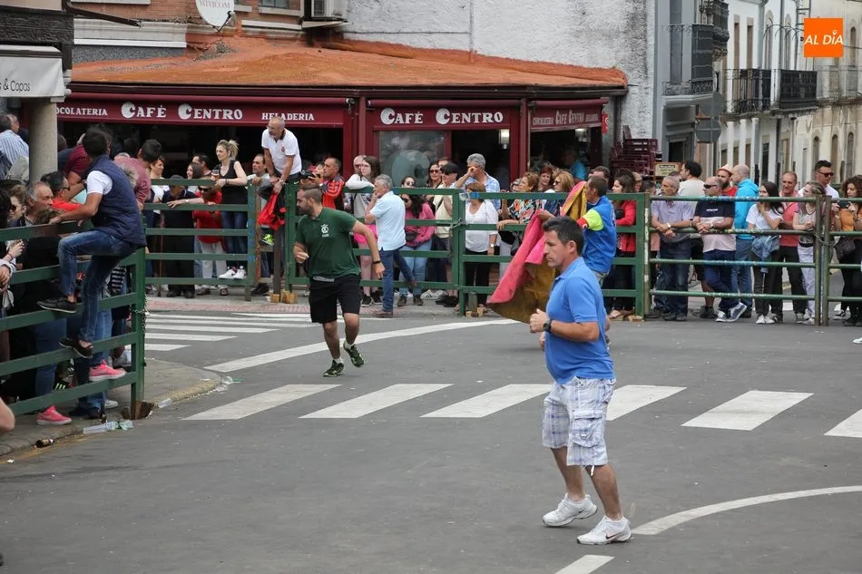 Foto 6 - La Asociaci&oacute;n Taurina de Vitigudino &lsquo;echa el resto&rsquo; en el &uacute;ltimo encierro tradicional del...