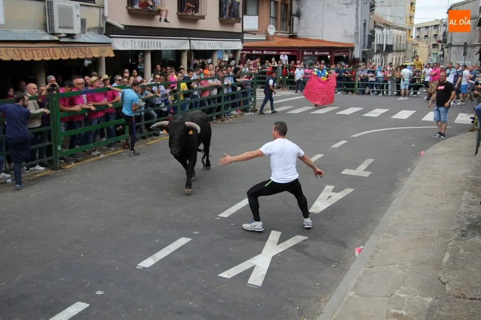Foto 8 - La Asociaci&oacute;n Taurina de Vitigudino &lsquo;echa el resto&rsquo; en el &uacute;ltimo encierro tradicional del...