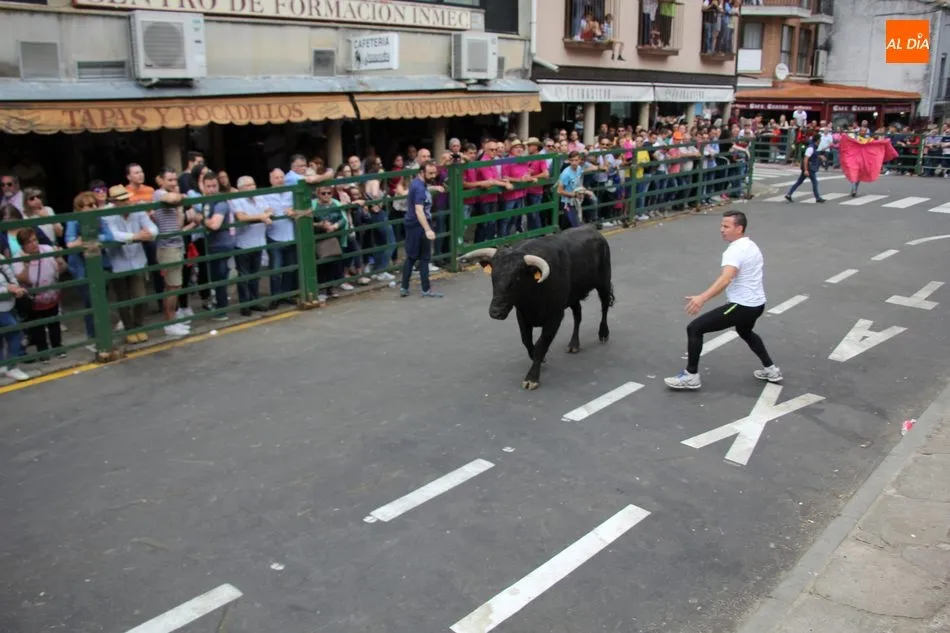 Foto 4 - La Asociaci&oacute;n Taurina de Vitigudino &lsquo;echa el resto&rsquo; en el &uacute;ltimo encierro tradicional del...