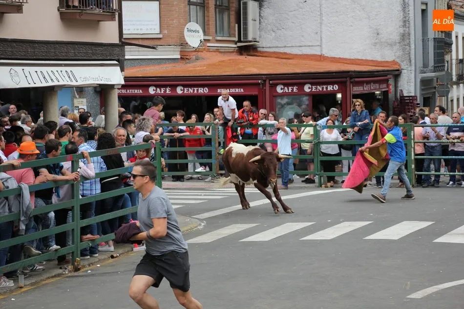 Foto 5 - La Asociaci&oacute;n Taurina de Vitigudino &lsquo;echa el resto&rsquo; en el &uacute;ltimo encierro tradicional del...