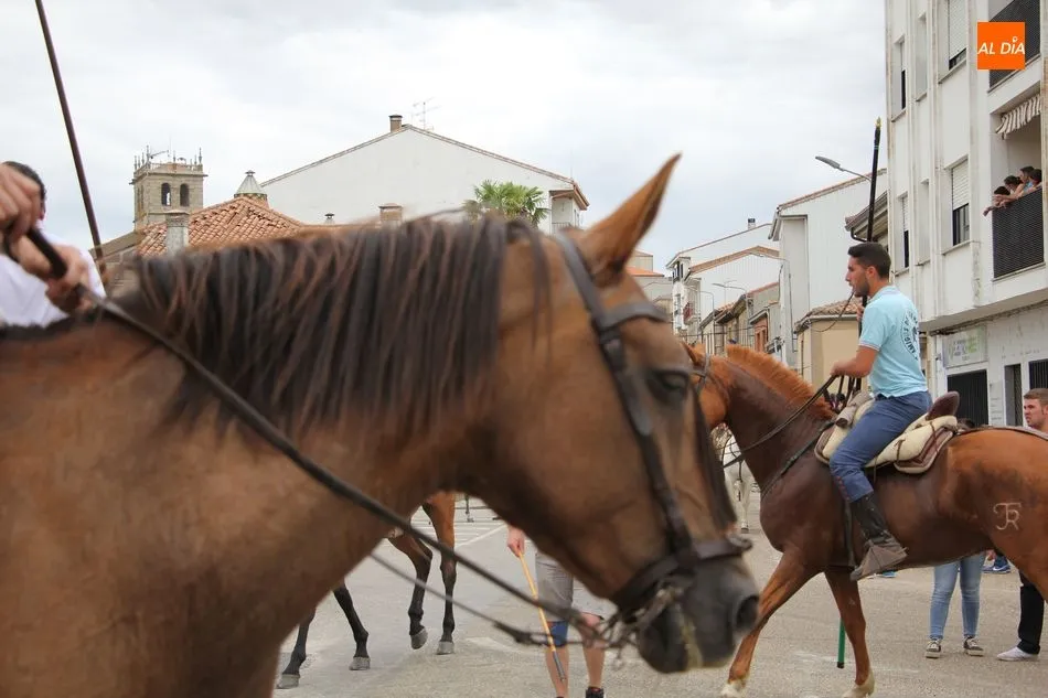 Foto 9 - Bonito encierro a caballo en el d&iacute;a m&aacute;s taurino del Corpus de Vitigudino  