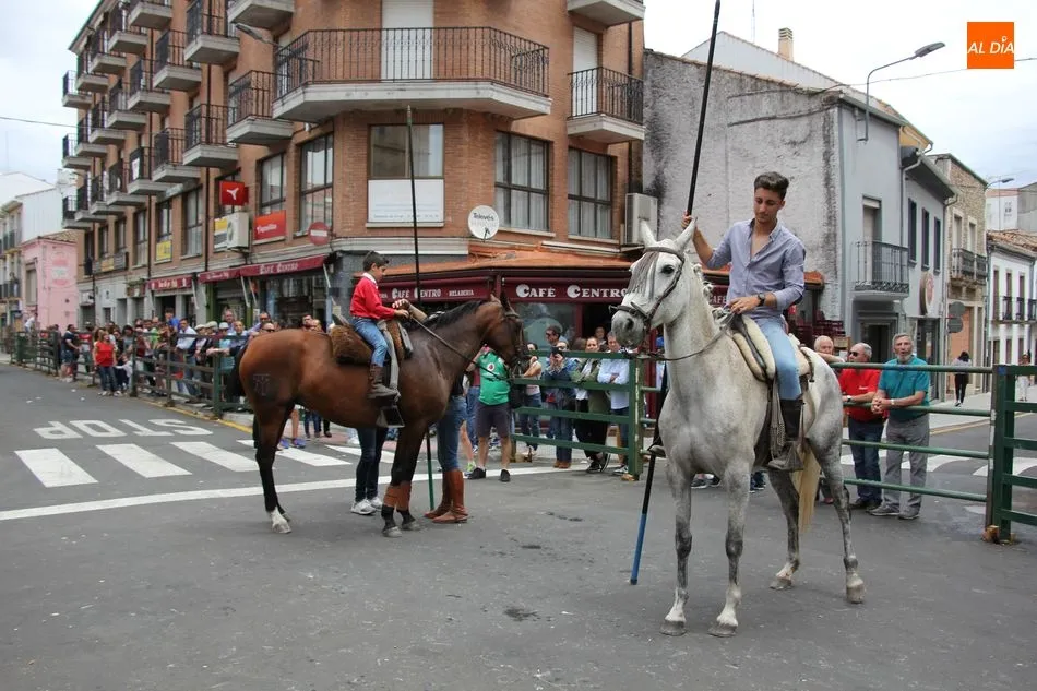 Bonito encierro a caballo en el día más taurino del Corpus de Vitigudino  