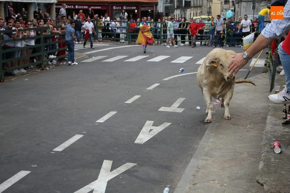 Foto 9 - Pepito llena las calles de Vitigudino de emoci&oacute;n como II Toro Fin de Corpus  