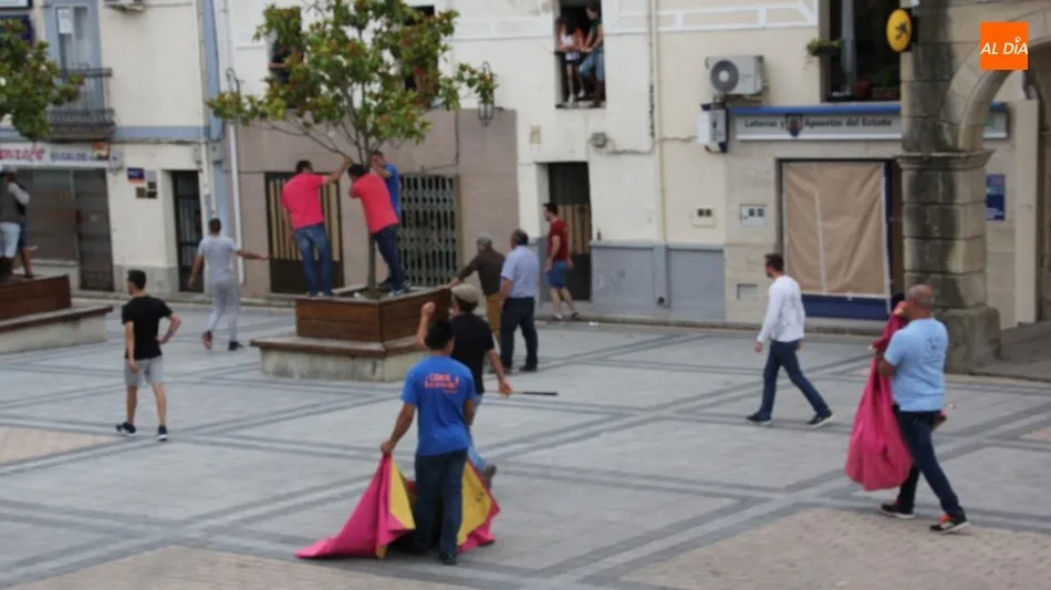 Foto 6 - Pepito llena las calles de Vitigudino de emoci&oacute;n como II Toro Fin de Corpus  