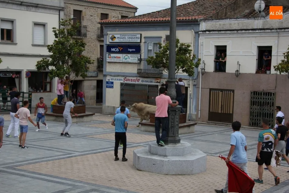 Foto 5 - Pepito llena las calles de Vitigudino de emoci&oacute;n como II Toro Fin de Corpus  