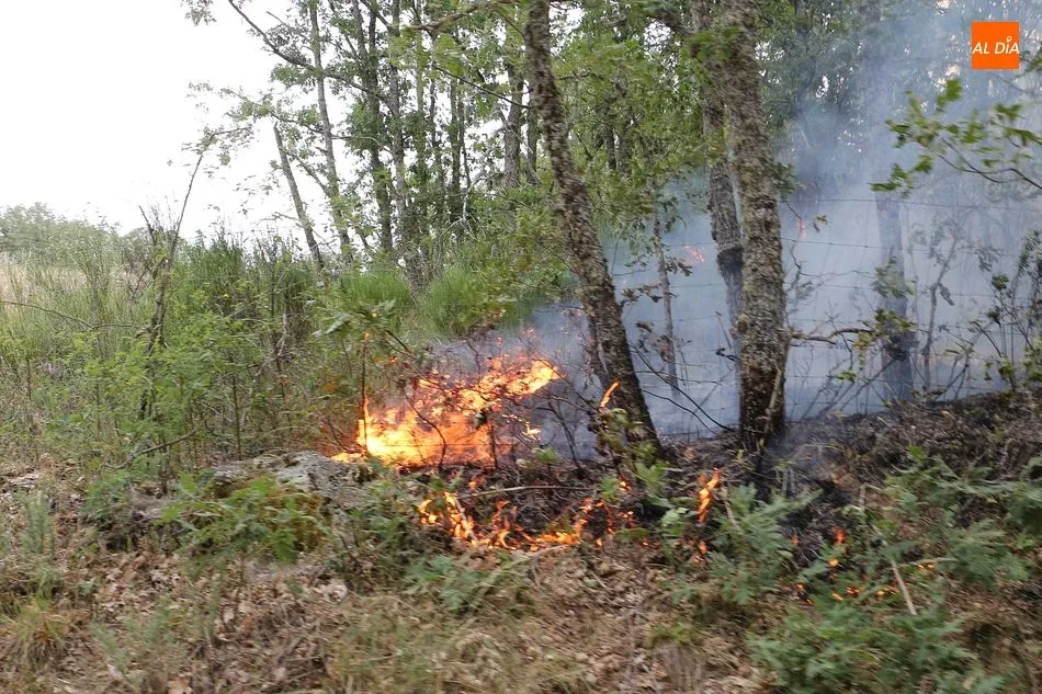Foto 3 - Declarado un incendio con dos focos en San Esteban de la Sierra