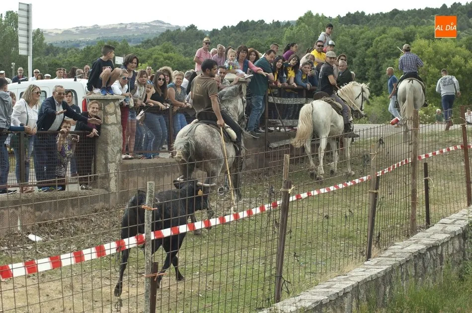 Foto 10 - Largo pero divertido segundo encierro a caballo en Navasfr&iacute;as  