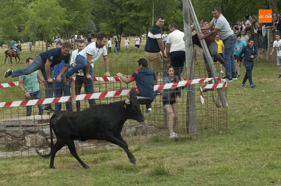 Foto 11 - Largo pero divertido segundo encierro a caballo en Navasfr&iacute;as  