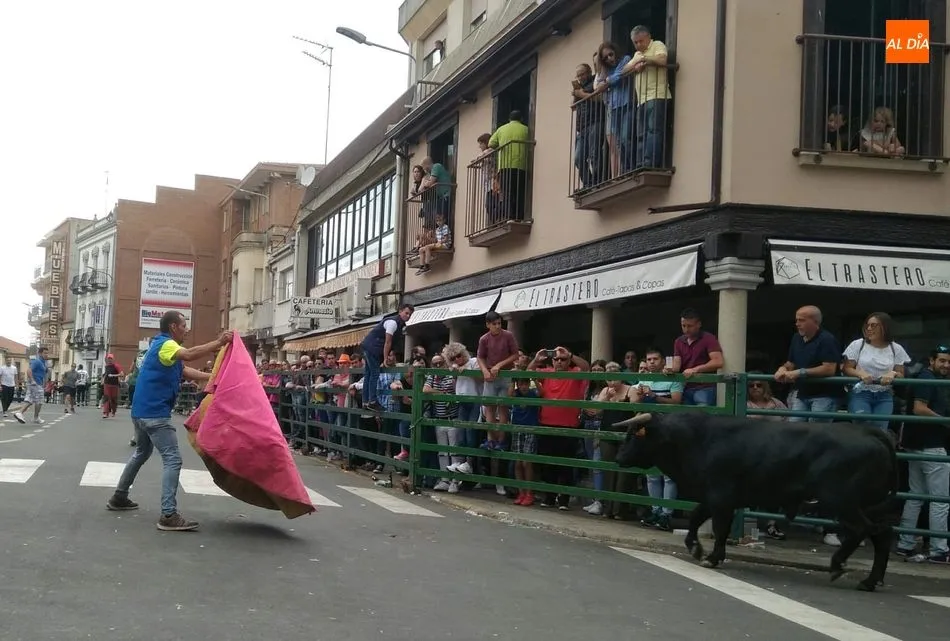 Foto 7 - La Asociaci&oacute;n Taurina de Vitigudino &lsquo;echa el resto&rsquo; en el &uacute;ltimo encierro tradicional del...