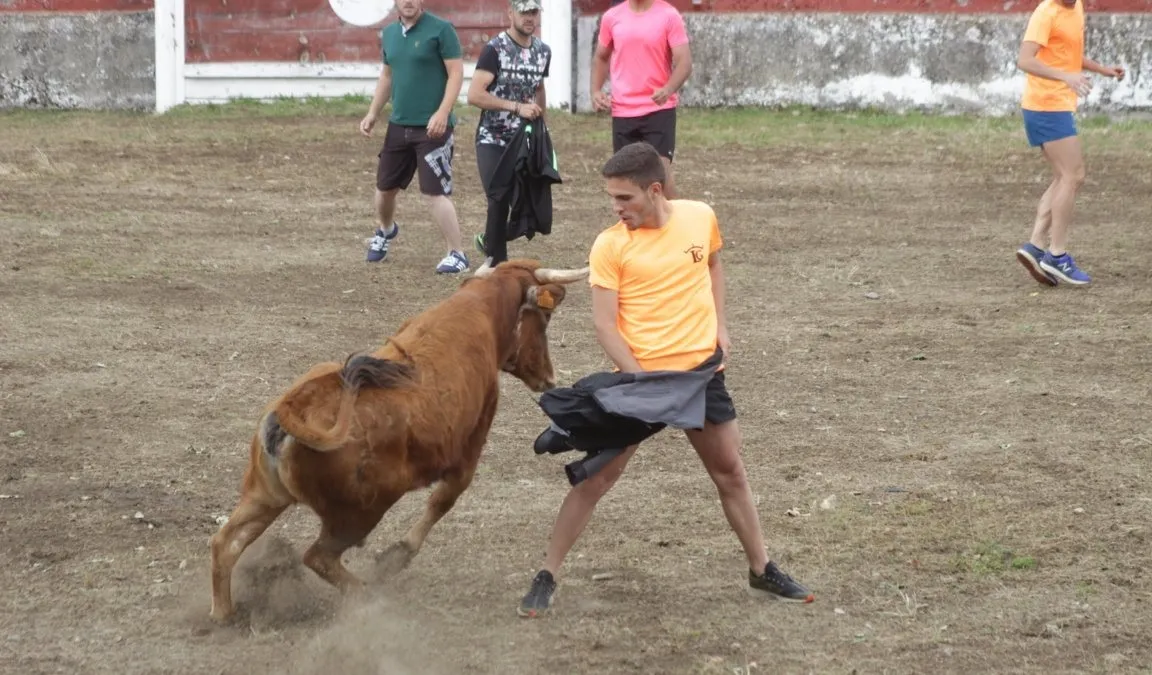 Imagen de uno de los recortes a uno de los astados | Fotos Pablo Holgado
