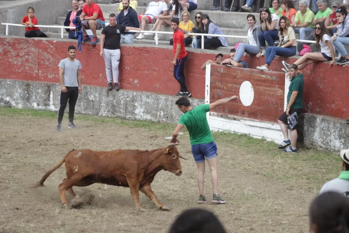 Foto 9 - Navasfr&iacute;as remata sus actos taurinos con otra capea con gran ambiente  