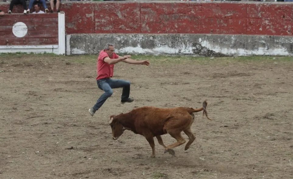 Foto 8 - Navasfr&iacute;as remata sus actos taurinos con otra capea con gran ambiente  