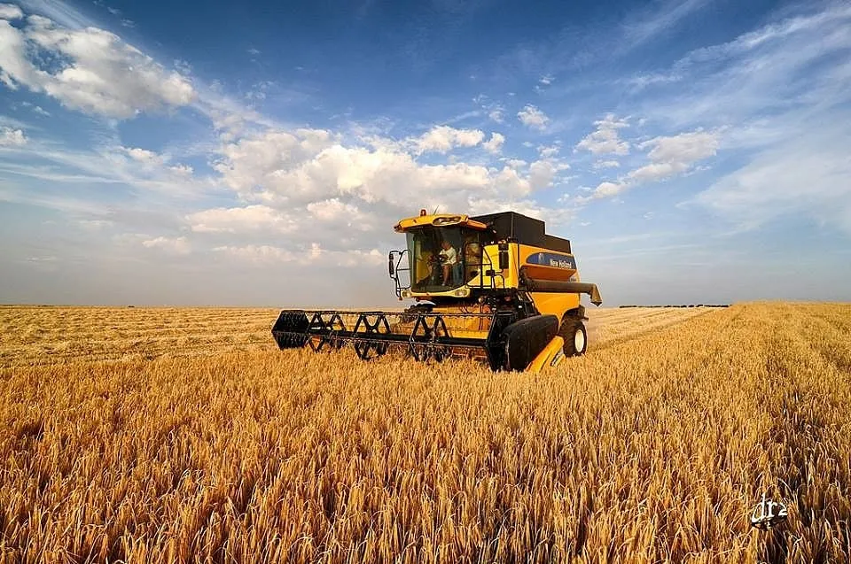 COAG recuerda a los agricultores sus obligaciones ante el riesgo de incendios durante la...