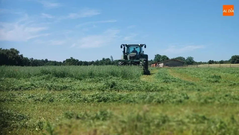 Tímidas subidas ante una cosecha incierta.